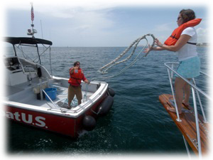 Towing Service
